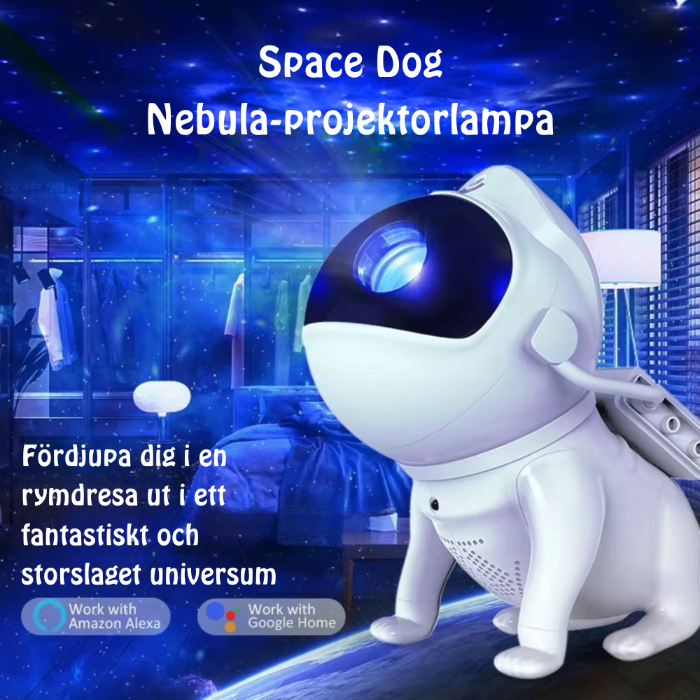 Rymd Hund Nattlampa