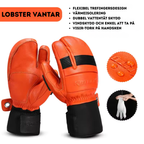 Kutook Lobster Vantar