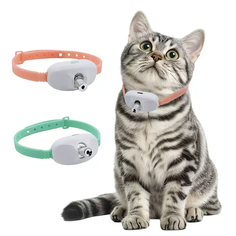 Laserhalsband för Katter